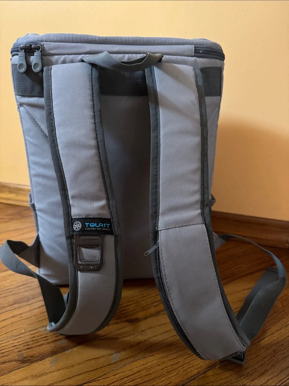 Gray Cooler Backpack with Mint Accent